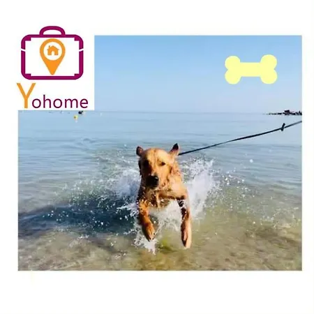 Ducale In Piazza Del Popolo A Apartment *