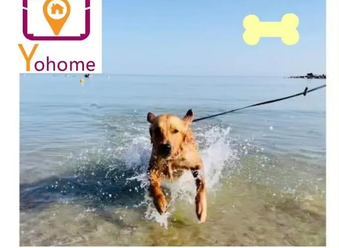 Ducale In Piazza Del Popolo A Apartment *